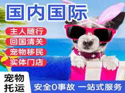 伊金霍洛机场物流国际宠物托运 【国